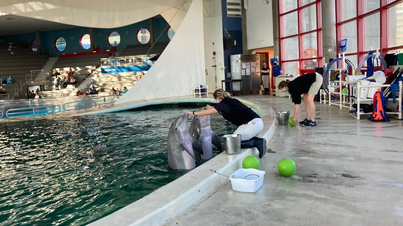 baltimore aquarium dolphin tour