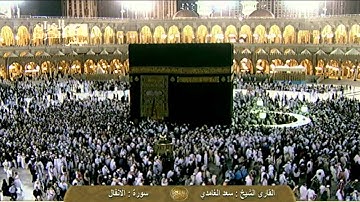 ماتيسر من سورة الأنفال - سعد الغامدي Saudi Quran HD