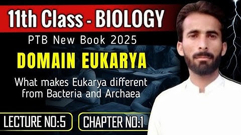 LECTURE 05 l Domain Eukarya – Class 11 Biology | Punjab Board 2025 New Book | Chapter 01
