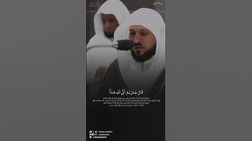 تلاوة شجية بصوت القارئ : ماهر المعيقلي #quran #راحة_نفسية #قرآن