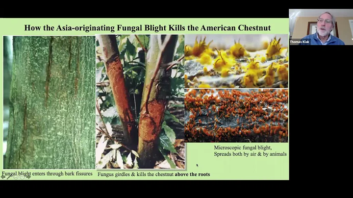 Thomas Klak & Virginia May: Genetics, Transgenics,...