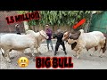 15 million ka big bull la aya 
