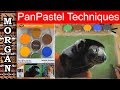 Pan Pastels Techniques Tutorial : Jason Morgan Wildlife Art