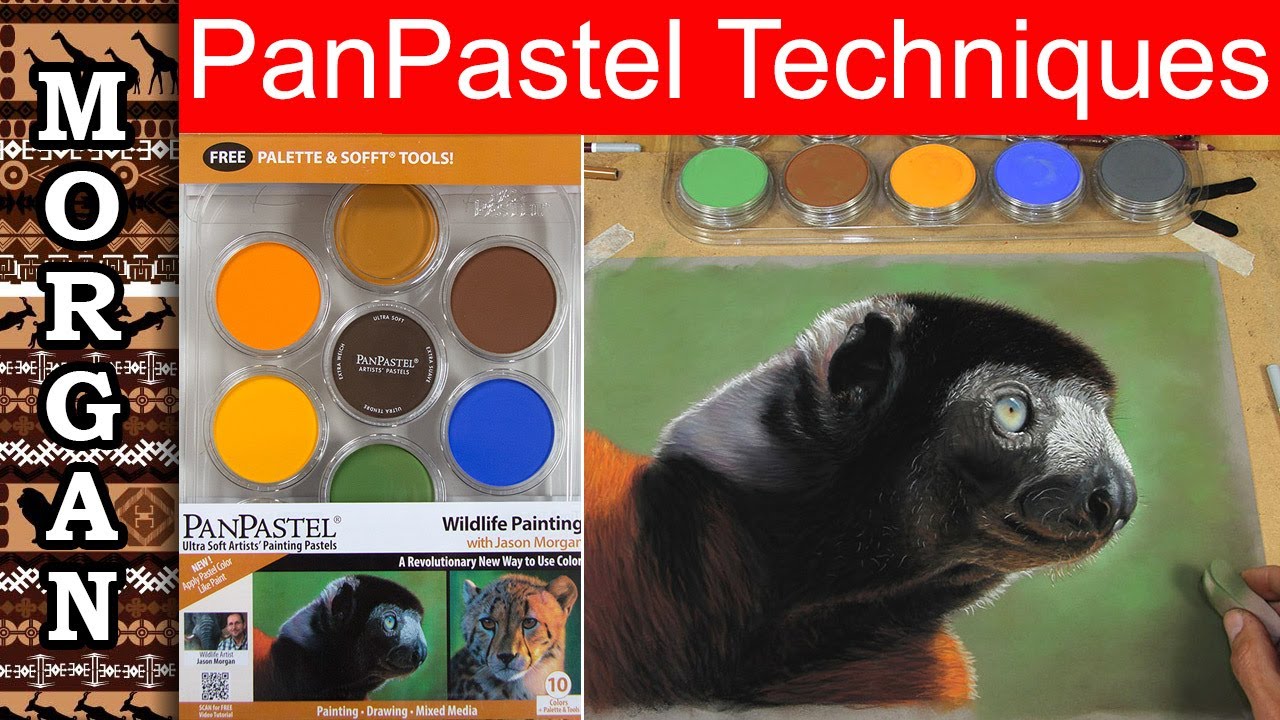 Pan Pastels Techniques Tutorial : Jason Morgan Wildlife Art
