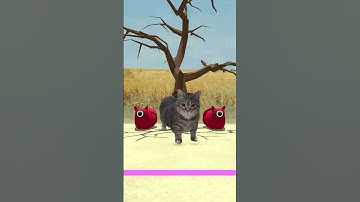 Thumbnail of Kucing akmal #squidgame #tiktok