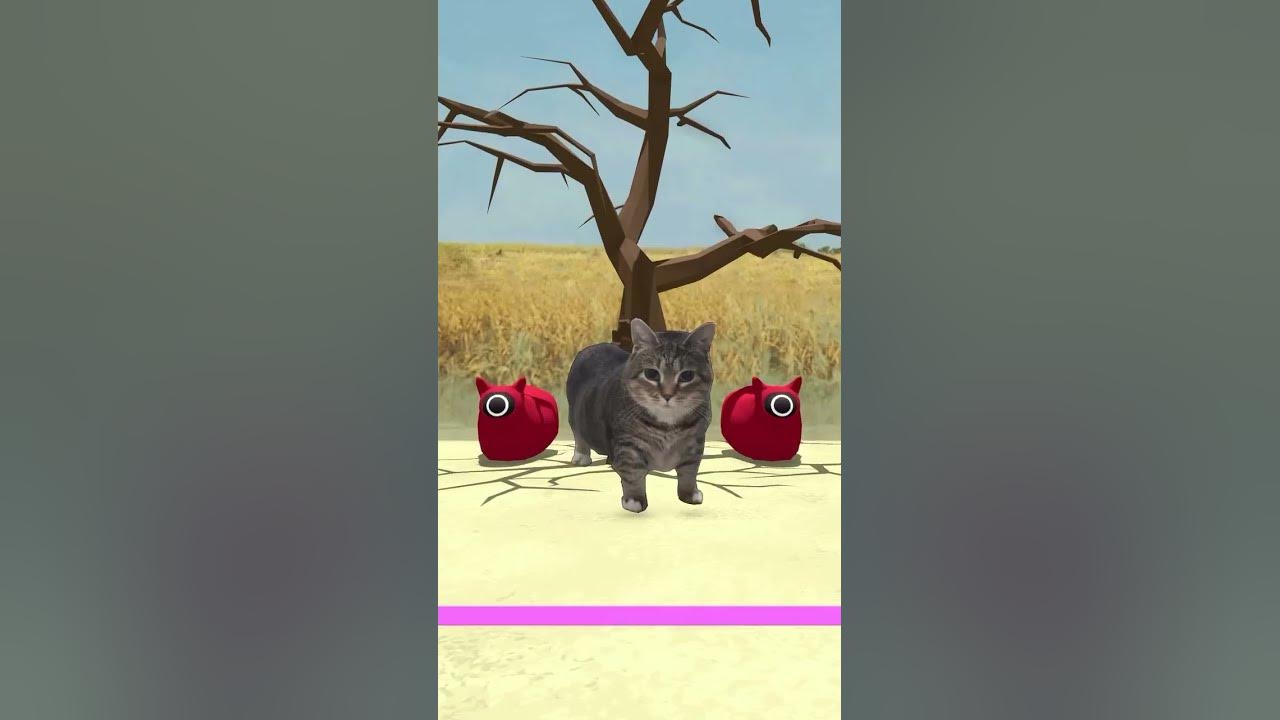 Kucing akmal #squidgame #tiktok