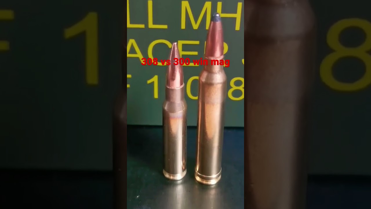 308 vs 300 win mag