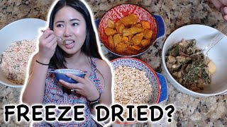 Tasting Homemade Freeze Dried Meals For The First Time | Homemade vs ReadyWise