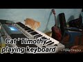  cat  timothy  playing keyboard
