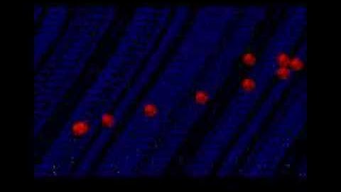 Multiscroller Demo - Ultimate GFA Demo - OvR (Atari ST)