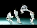 Dubai open taekwondo championship itf promo