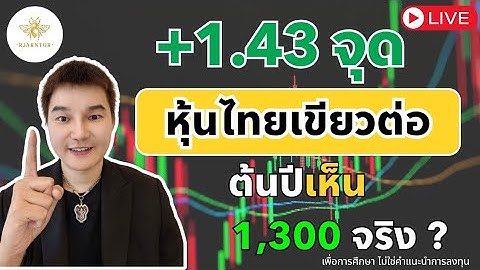 สอนเล่นหุ้น มือใหม่ +1.43จุด🔥หุ้นไทยเน้นเขียว ต้นปีเห็น 1,300จริงไหม?!