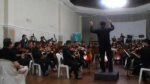 Thumbnail of Johann Strauss Jr. - Contos dos bosques de Viena