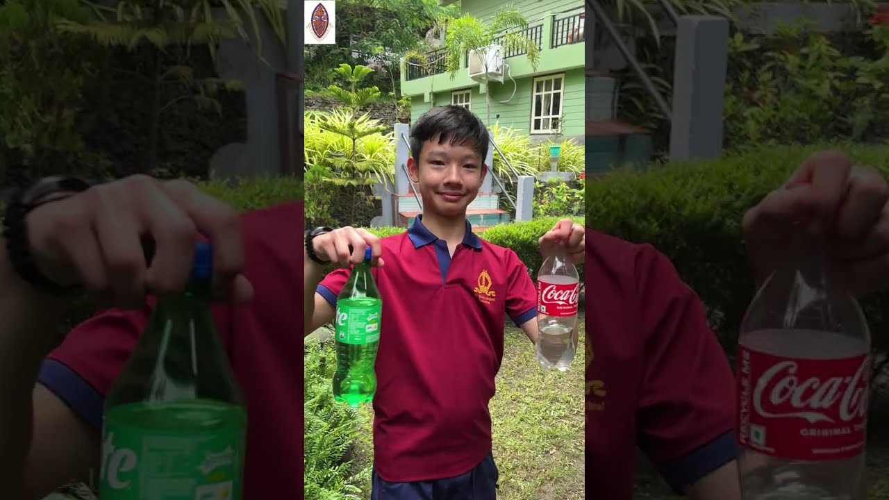 Однодневная поездка для мальчиков из ордена Свидетелей Иеговы