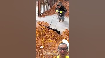 Dụng cụ nông nghiệp tự tự xe máy xúc #skills #agriculture