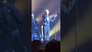 Damiano Davidtangotokyo Garden Theater, Japan 27102025