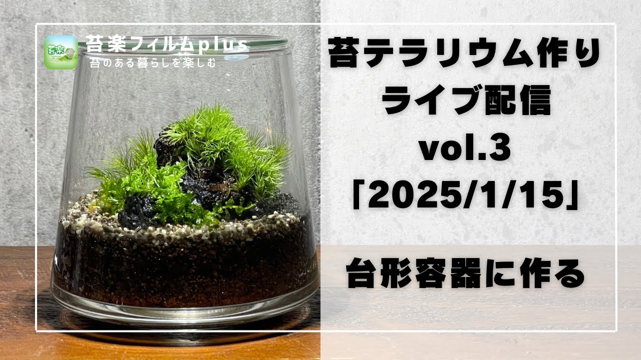 台形容器】苔テラリウム作りLive 苔楽フィルムplus - YouTube