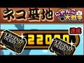 レジェンドガチャ2連ひいてみた【にゃんこ大戦争】