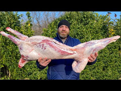 Whole Lamb Butchering and COOKING ALL KINDS OF LAMB MEAT