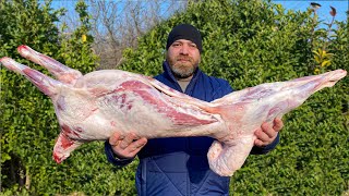 Whole Lamb Butchering and COOKING ALL KINDS OF LAMB MEAT