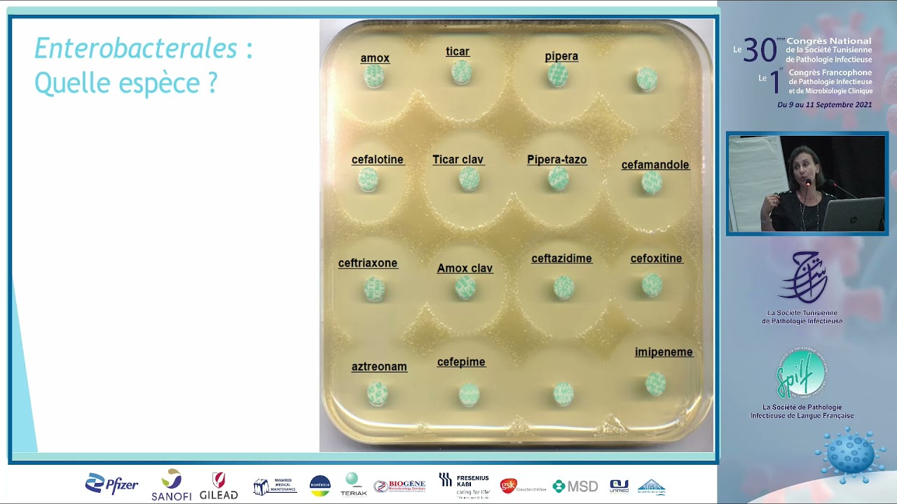 Atelier Lecture et interprétation d’antibiogrammes Hanene Smaoui