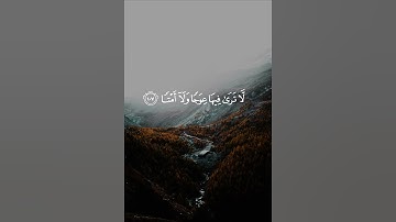 ( وخشعت الأصوات للرحمن ) القارئ رعد الكردي | سورة طه