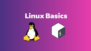 Linux Basics: Command Line Interface