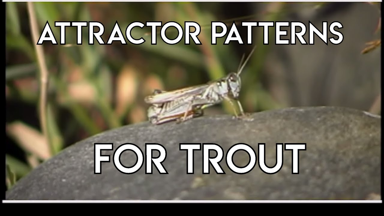 fly fishing rod holder Trout on Attractor Patterns | How To