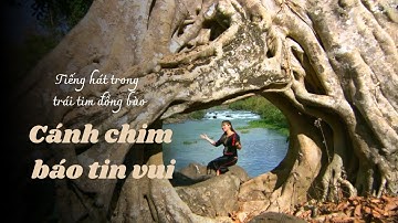 CÁNH CHIM BÁO TIN VUI | TIẾNG HÁT TRONG TRÁI TIM ĐỒNG BÀO | VTV5