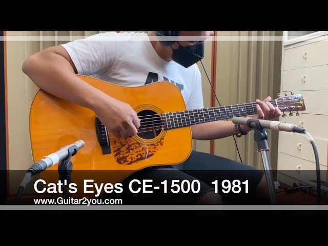 Cat's Eyes CE-1500 ( Made in Japan 1981 )