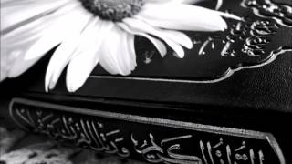 سورة يونس القارئ هاني الرفاعي