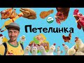 ПЕТЕЛИНКА ВСЯ ПРАВДА О КУРОЧКАХ