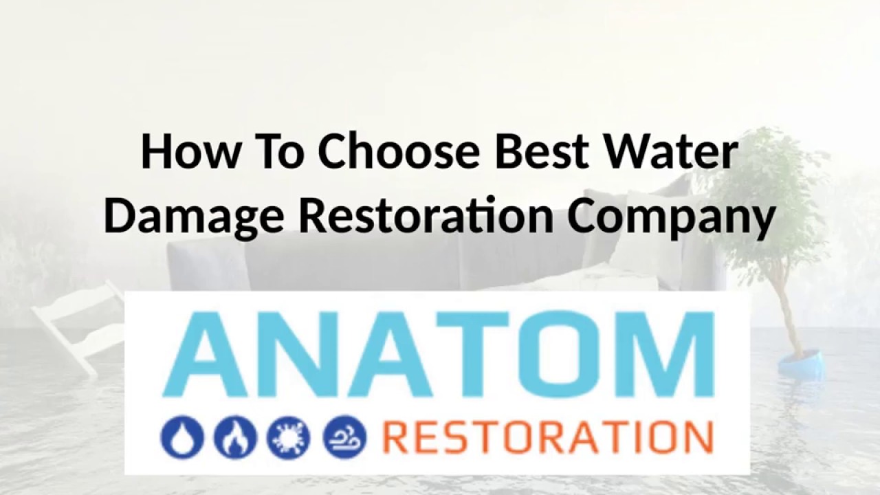 Useful Tips for Choosing a Water Damage Restoration Company That You Can  Trust -