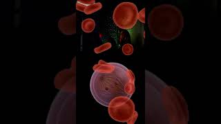 Welcome to Luma Industries - Live Synthesizer Performance in London 2015