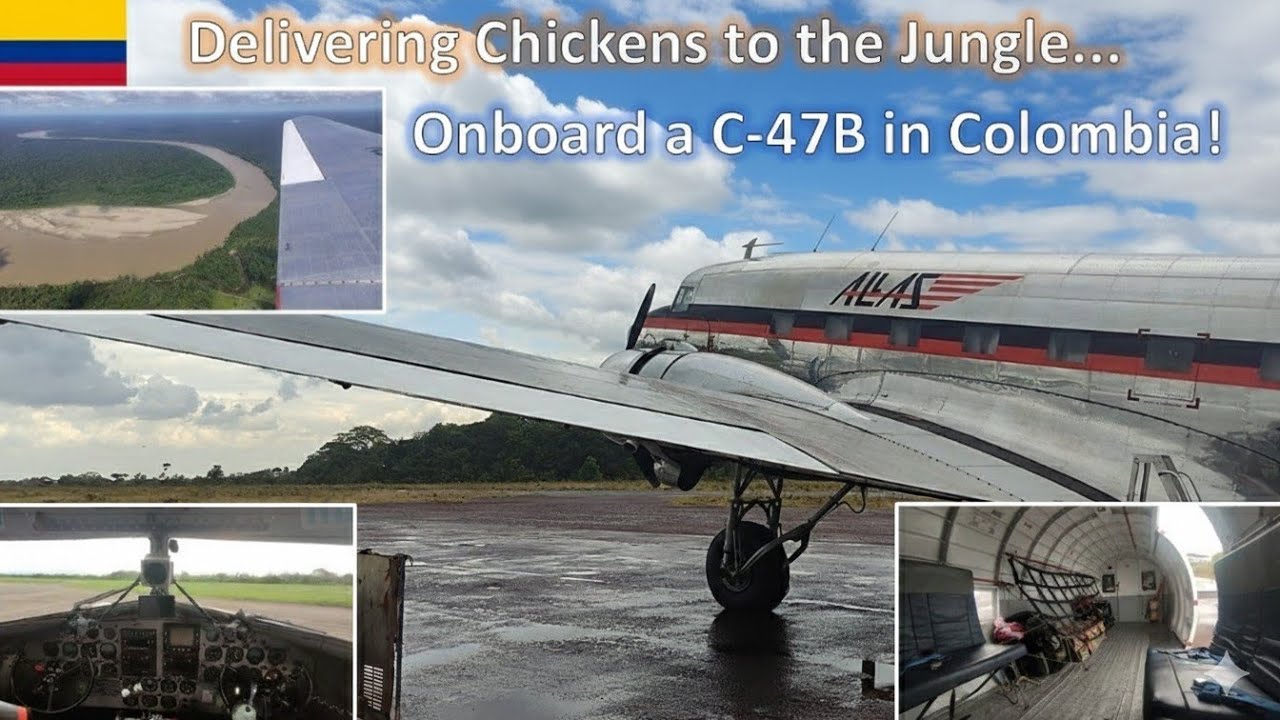 Доставка цыплят в джунгли... | Празднование 90-летия самолетов DC-3 полетом над Колумбией!