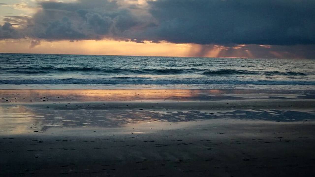 Zakym Hansem - Purgatory