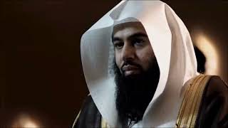 سورة فاطر (٤) | الشيخ د. أنس العمادي