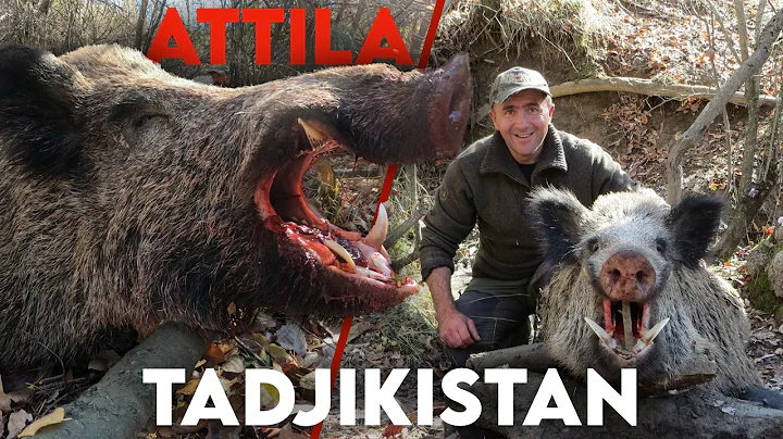 ATTILA'S WILD BOAR HUNTING IN TAJIKISTAN - The Movie