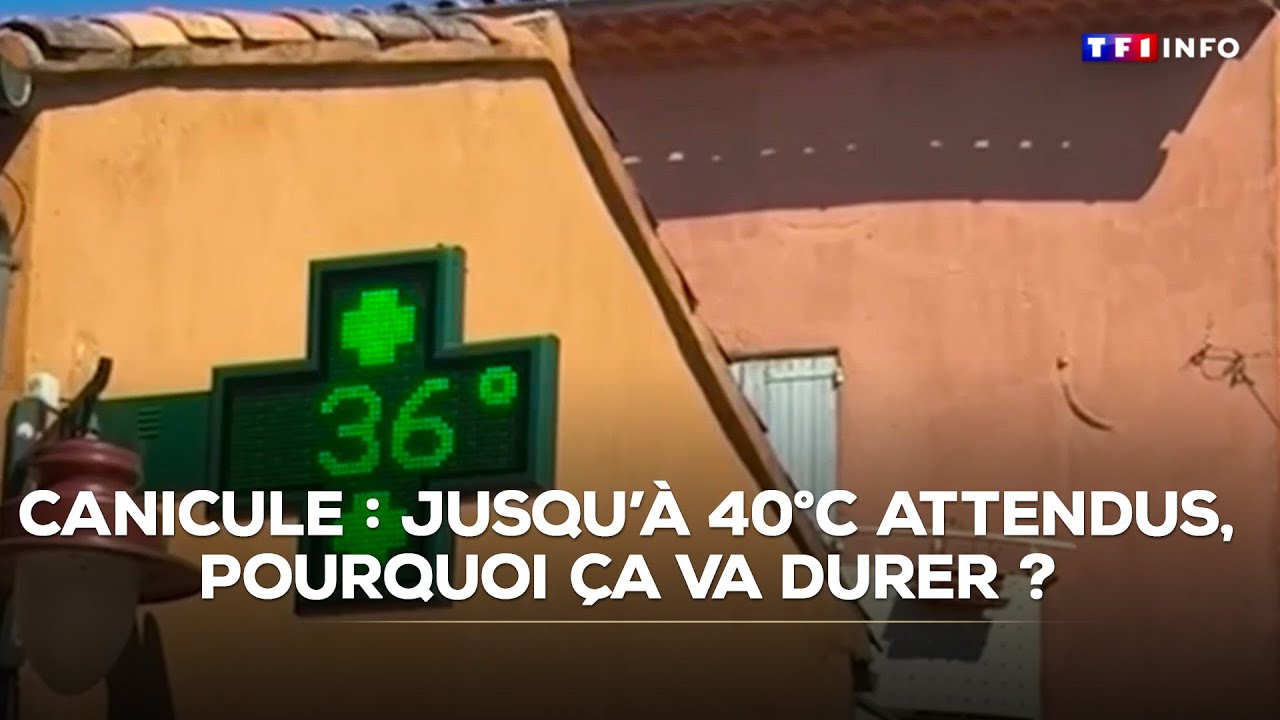 Canicule : jusqu'à 40°C attendus ce week-end, pourquoi ça va durer ?｜TF1 INFO