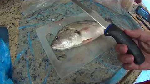 Como fazer Filézinho de corvina?