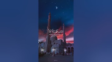 سورة النحل {الآية 79} بصوت الشيخ ياسر الدوسري ❤️❤️