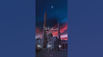 سورة النحل {الآية 79} بصوت الشيخ ياسر الدوسري ❤️❤️
