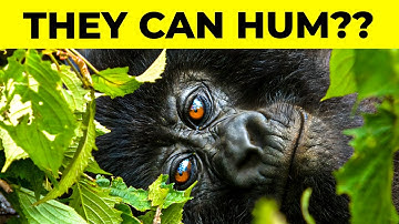 25 Amazing Facts That