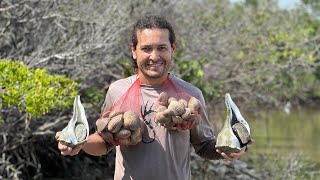 Almejas Y Caracoles Enormes En Ceviche