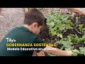 Gobernanza Sostenible: Modelo Educativo en el Meta - TvAgro por Juan Gonzalo Angel