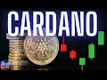 CARDANO WHAT IS GOING ON? ADA PRICE UPDATE