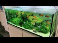 Beautiful German Aquascape and Pond Store - Zoo Flottman - Full Tour