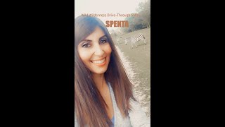 Road Trip During Covid-19 | Persian Spenta & The Ostrich | Wild Wilderness Safari | Travel Vlog