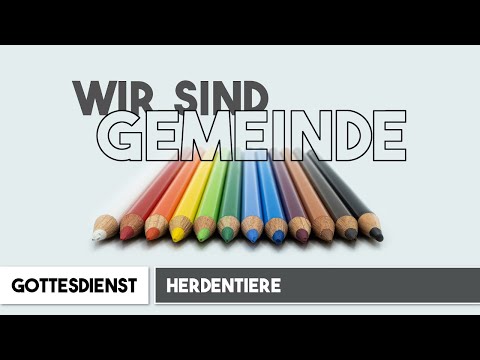 2022-05-22 Gottesdienst, Wir Sind Gemeinde - Herdentiere