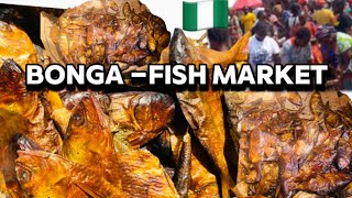 Bonga- Fish Market With Current Prices At Delta Fish 🇳🇬 Market #smallbusiness